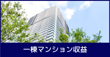 マンション(一棟） リゾートマンション(一棟）